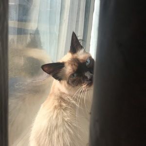 Meet your Posher, Tiah